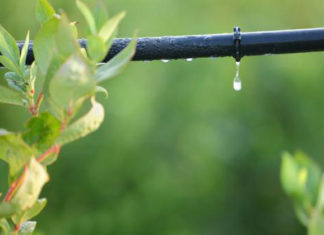 La microirrigazione e l´irrigazione goccia a goccia 587 0 la_microirrigazione_e_l_irrigazione_goccia_a_goccia_ok