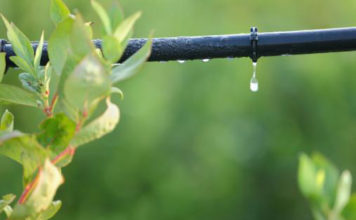 La microirrigazione e l´irrigazione goccia a goccia 587 0 la_microirrigazione_e_l_irrigazione_goccia_a_goccia_ok