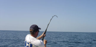 Pesca sportiva – pesca col vivo 636 0 Pesca sportiva Pesca col vivo