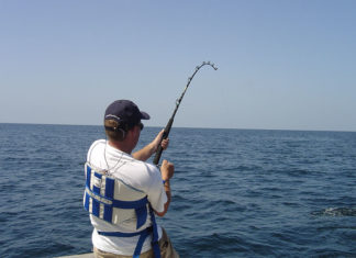 Pesca sportiva – pesca col vivo 636 0 Pesca sportiva Pesca col vivo