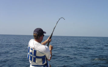 Pesca sportiva – pesca col vivo 636 0 Pesca sportiva Pesca col vivo