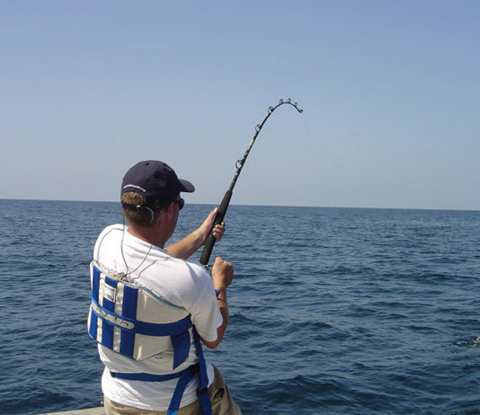 Pesca sportiva – pesca col vivo 636 0 Pesca sportiva Pesca col vivo