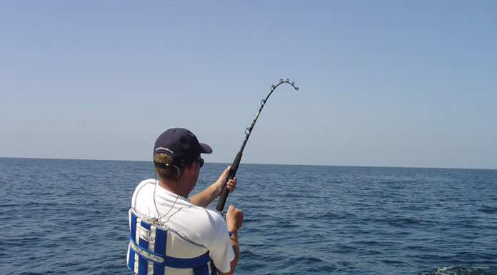 Pesca sportiva – pesca col vivo 636 0 Pesca sportiva Pesca col vivo