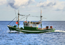 La traina 639 0 Pesca sportiva La traina