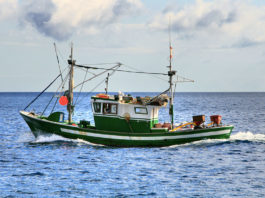 La traina 639 0 Pesca sportiva La traina