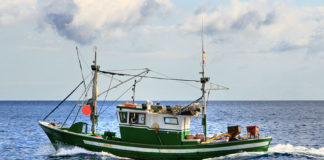 La traina 639 0 Pesca sportiva La traina