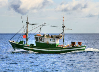 La traina 639 0 Pesca sportiva La traina
