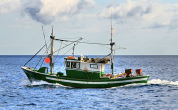 La traina 639 0 Pesca sportiva La traina