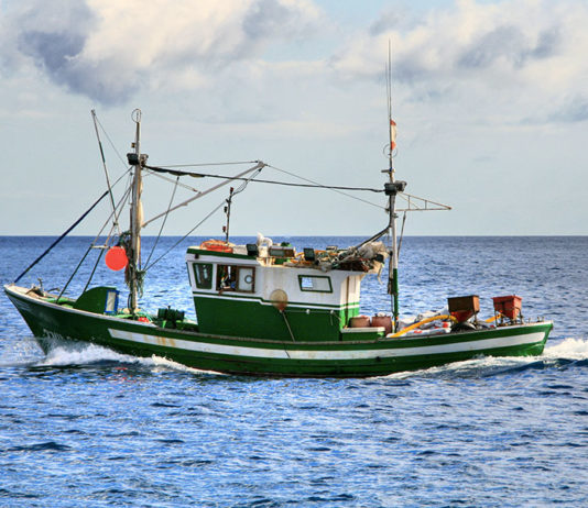 La traina 639 0 Pesca sportiva La traina