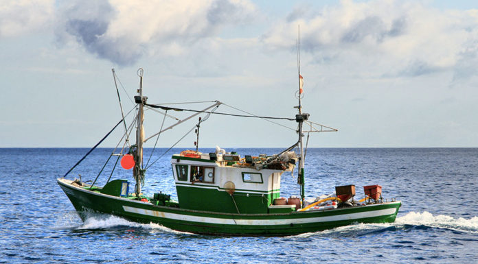 La traina 639 0 Pesca sportiva La traina