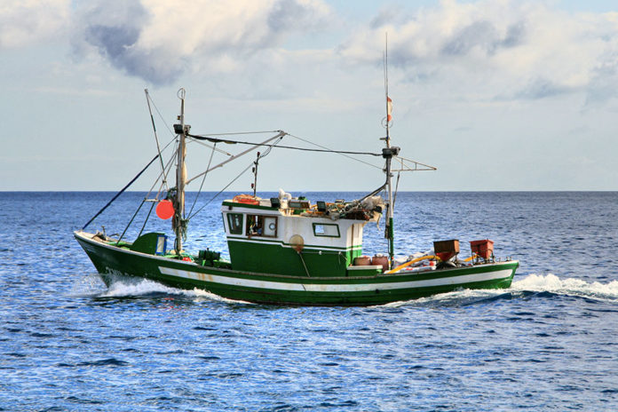 639 0 Pesca sportiva   La traina