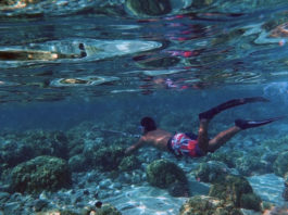 La pesca in tana 641 0 Pesca sportiva La pesca in tana