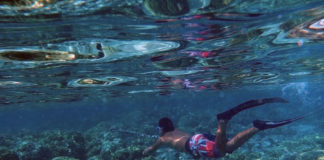 La pesca in tana 641 0 Pesca sportiva La pesca in tana