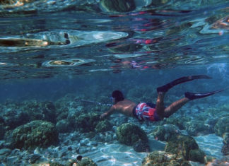 La pesca in tana 641 0 Pesca sportiva La pesca in tana