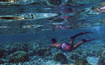 La pesca in tana 641 0 Pesca sportiva La pesca in tana