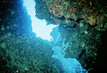 Sport estremi – l´immersione in grotta 642 0 Sport estremi Limmersione in grotta