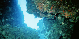 Sport estremi – l´immersione in grotta 642 0 Sport estremi Limmersione in grotta