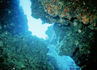 Sport estremi – l´immersione in grotta 642 0 Sport estremi Limmersione in grotta