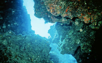 Sport estremi – l´immersione in grotta 642 0 Sport estremi Limmersione in grotta