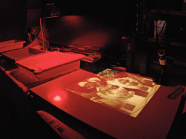 Fotografia – lo sviluppo 643 0 Fotografia Lo sviluppo