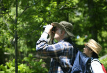 Outdoor – il birdwatching 651 0 Outdoor Il birdwatching