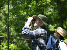 Outdoor – il birdwatching 651 0 Outdoor Il birdwatching