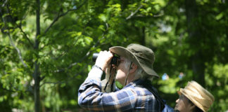 Outdoor – il birdwatching 651 0 Outdoor Il birdwatching