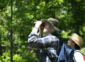 Outdoor – il birdwatching 651 0 Outdoor Il birdwatching