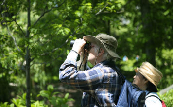 Outdoor – il birdwatching 651 0 Outdoor Il birdwatching