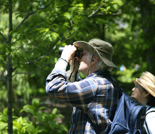 Outdoor – il birdwatching 651 0 Outdoor Il birdwatching