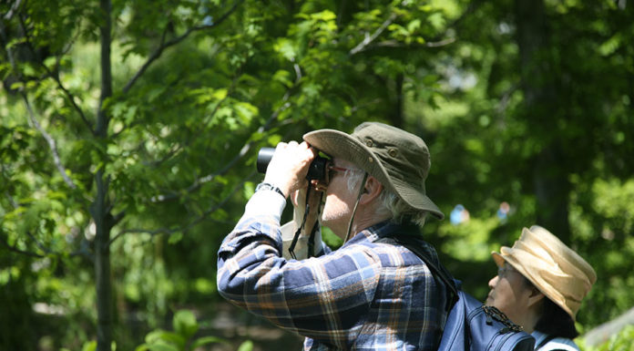 Outdoor – il birdwatching 651 0 Outdoor Il birdwatching