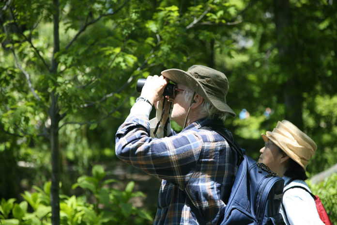 651 0 Outdoor   Il birdwatching