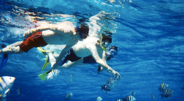 Lo snorkeling 654 0 Outdoor Lo snorkeling