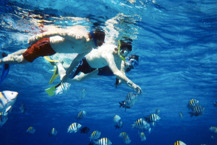 654-0-Outdoor---Lo-snorkeling.jpg 654 0 Outdoor Lo snorkeling