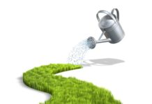 Giardinaggio 66 0 Giardinaggio