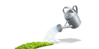 Giardinaggio 66 0 Giardinaggio