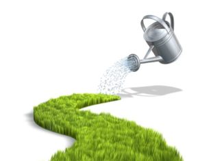 Giardinaggio 66 0 Giardinaggio