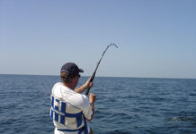 Che cos´è la pesca sportiva 661 0 1