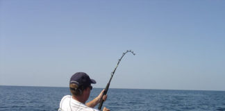 Che cos´è la pesca sportiva 661 0 1