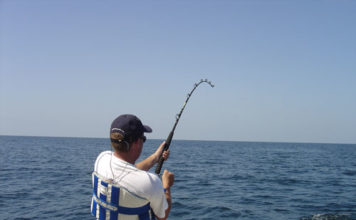 Che cos´è la pesca sportiva 661 0 1