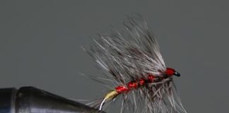 Pescare con la mosca 662 0 2