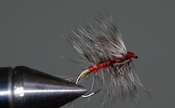 Pescare con la mosca 662 0 2