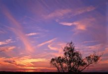 La regola dei terzi 684 0 9