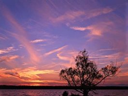 La regola dei terzi 684 0 9