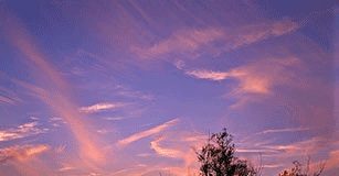 La regola dei terzi 684 0 9