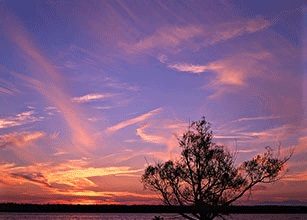 La regola dei terzi 684 0 9