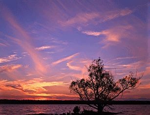 La regola dei terzi 684 0 9