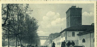 Le cartoline 723 0 le cartoline_ok