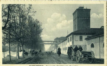 Le cartoline 723 0 le cartoline_ok