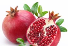 Melograno 75 0 Melograno